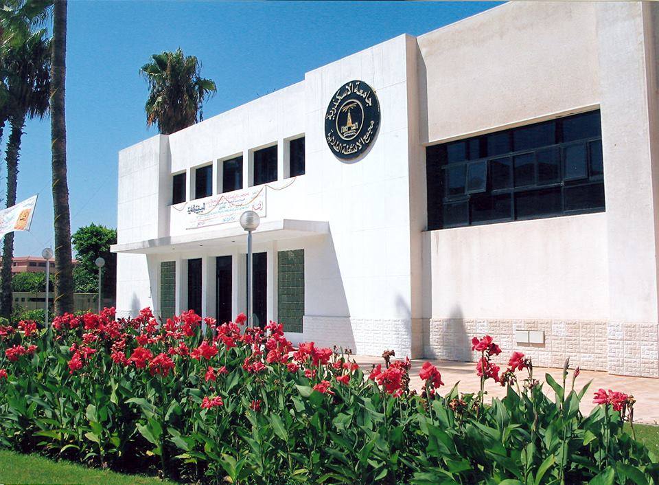 243430702 251695250295219 5886895439443541596 n