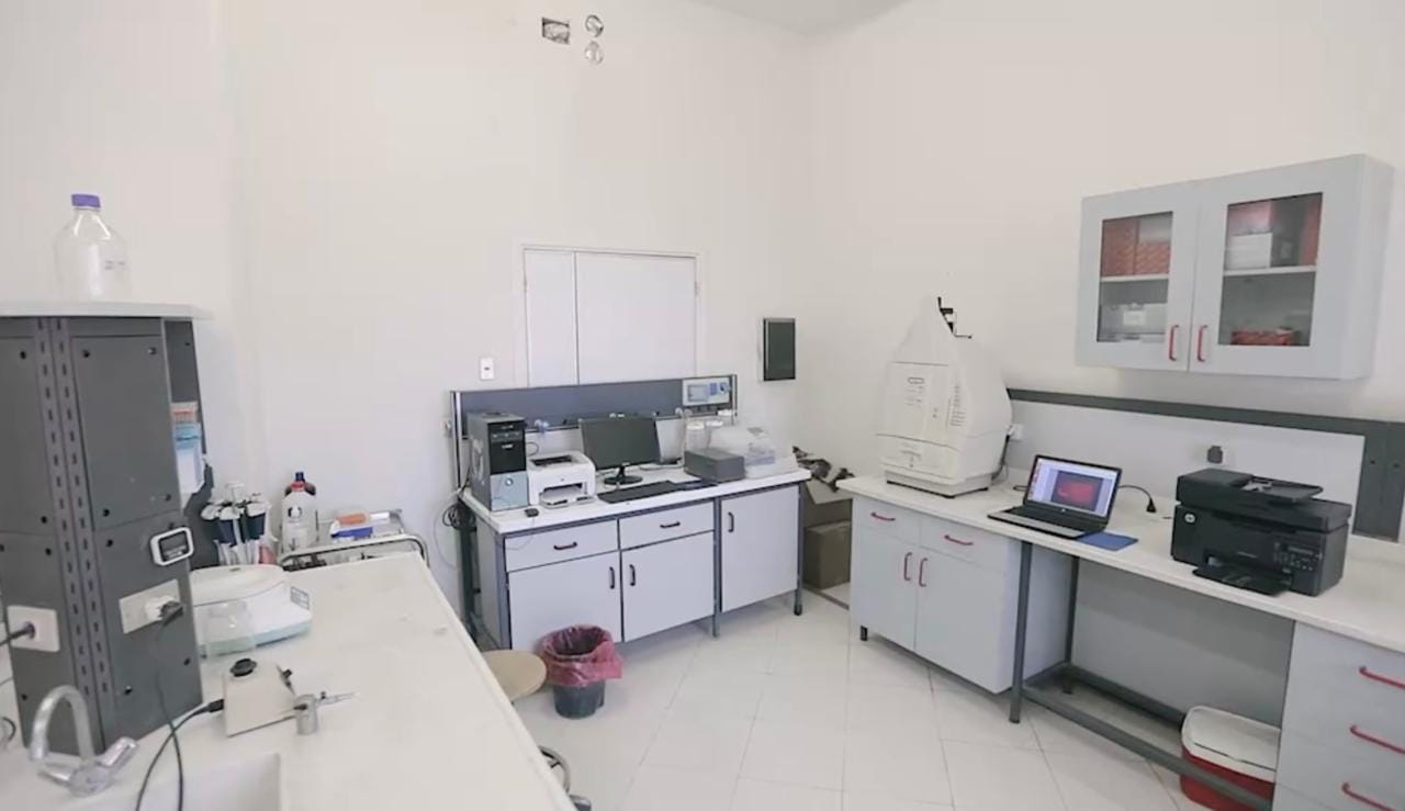 461226735 939285171571545 4235885389459708956 n