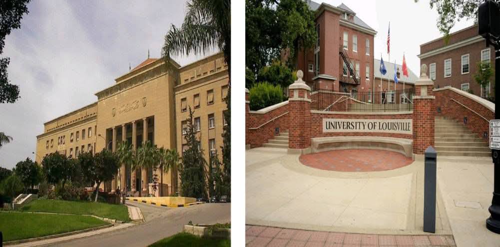 514261591 1217289093771150 5417932836232267620 n